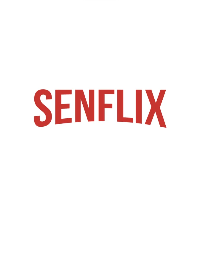 Affiche de SENFLIX